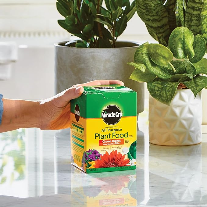 Miracle-Gro Water Soluble All Purpose Plant Food, For All Indoor or Outdoor Plants, Roses, Flowers, Vegetables, Houseplants, Trees, and Shrubs, 1.5 lbs