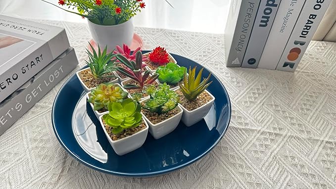 Plant Saucers 12 Inch (12.7 Inch) Plant Trays, Durable Round Glazed Ceramic Flower Plant Water Drip Tray for Pots Planter