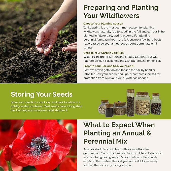 Eden Brothers Red Head Wildflower Mixed Seeds for Planting, 1/4 lb, 120,000+ Seeds with Maltese Cross, Scarlet Flax | Attracts Pollinators, Plant in Spring or Fall, Zones 3, 4, 5, 6, 7, 8, 9, 10