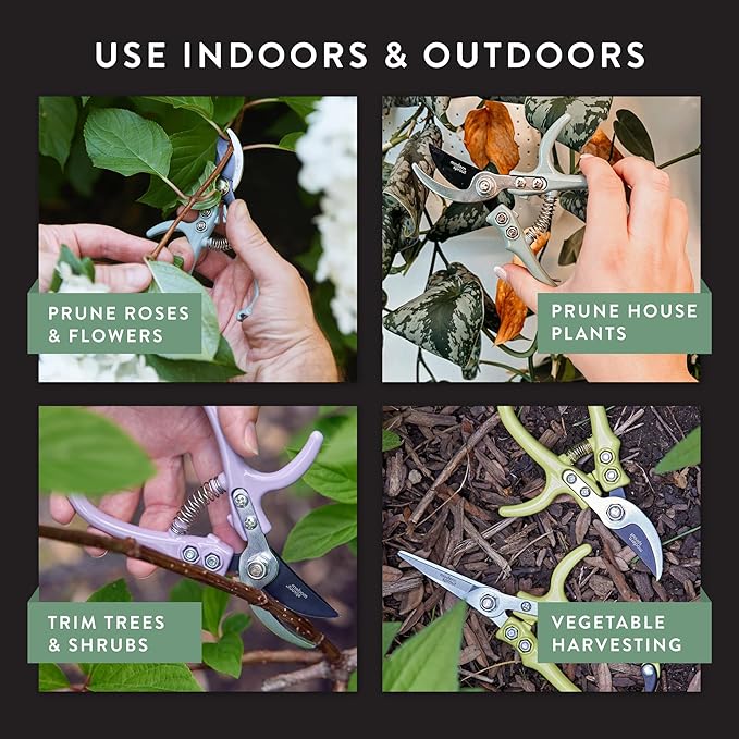 Modern Sprout Hand Pruners - Lightweight Pruning Shears W/Easy Lock- Gardening Scissors - Bypass Sharp Carbon Steel Blade - Rust Resistant - Garden Tools - Reusable Holster - Sage