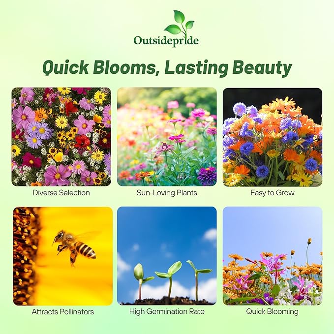 Outsidepride Annual Sun Wild Flower Seed Mix - 1/4 lb Blend of Annual Wildflower Seeds for Sunny Locations, Vibrant & Easy-to-Grow, Attracts Pollinators, Ideal for Home Gardens & Floral Displays
