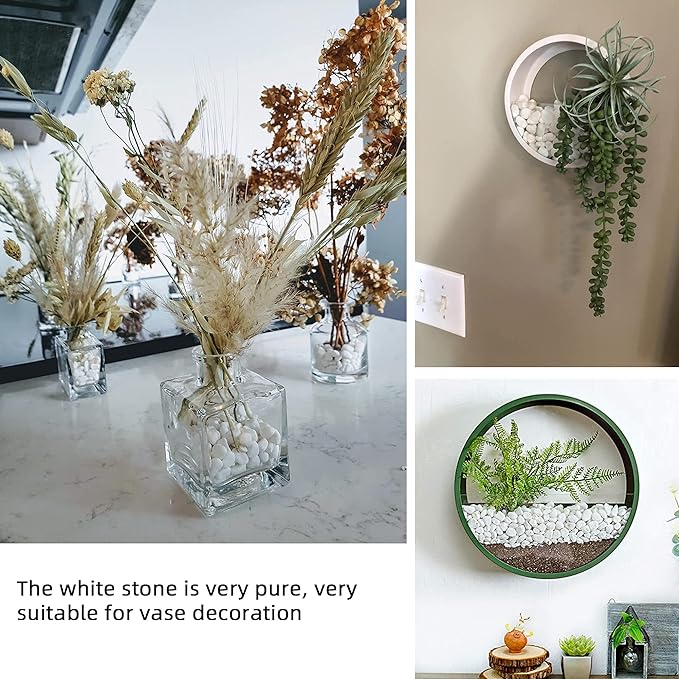 White Pebbles for Plants Garden Vases 1.8lb White Rocks Gravel Decorative Stone 1/2"……