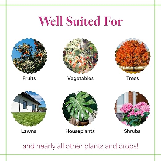 Grow More All-Season's Plant Food (20-20-20 Fertilizer) - 5lbs of All Purpose Fertilizer - Water Soluble Food for Houseplants & Outdoor Plants with Chelated Micronutrients