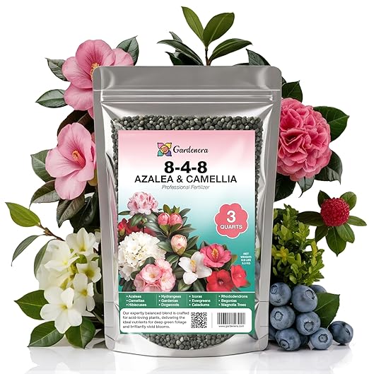 𝐁𝐄𝐒𝐓𝐒𝐄𝐋𝐋𝐄𝐑 Premium 8-4-8 Acidic Fertilizer for Azaleas, Camellias, Hydrangeas, Blueberries, Gardenias, Magnolia Trees, Evergreens and Rhododendrons - Ideal Iron-Rich Plant Food - 3 QUARTS