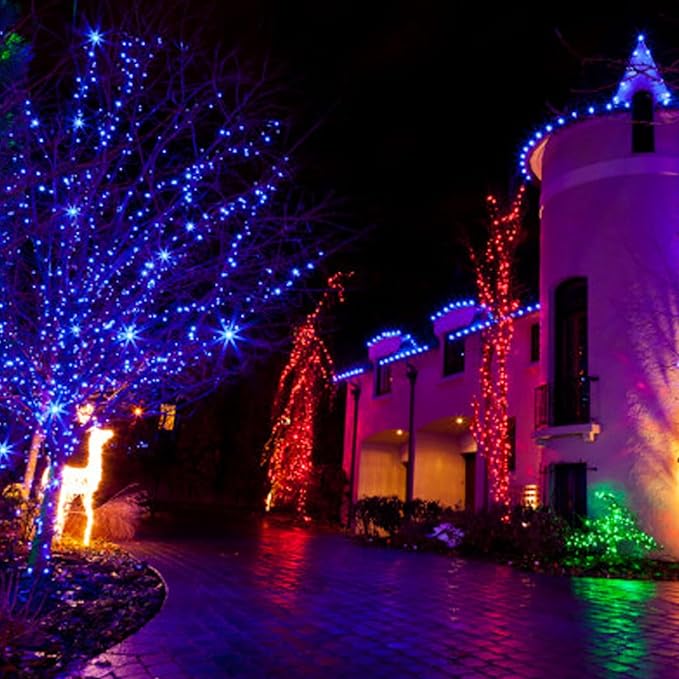 TW SHINE Christmas Lights, 200 LED 66FT Outdoor Christmas Lights Plug in with 8 Modes, Waterproof Light Outdoor, Indoor Xmas Decorations for Party Yard House Decor, Blue