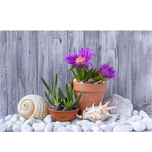 White River Rocks 40lbs, 1-2 Inch Natural Pebbles for Plants, Hand-Picked Premium Stones for Landscaping and Garden Design, Fish Tank, Flower Pots, Pathways and Backyard