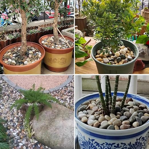 40LB Mixed Color River Rocks - 2-3 inch High Polished Decorative Pebbles, Polished Stones for Landscaping, Natural River Rocks for Outdoor Décor, Plants,Vase Filler,Fish Tank