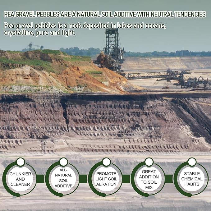 2 LBS Red Pea Gravel, Natural Succulent and Cactus Gravel Pebbles, Pebbles for Indoor Plants, Natural Gardens Mulching, for Houseplants, for Aquarium Gravel, to Maintain Soil Aeration(4-6mm)