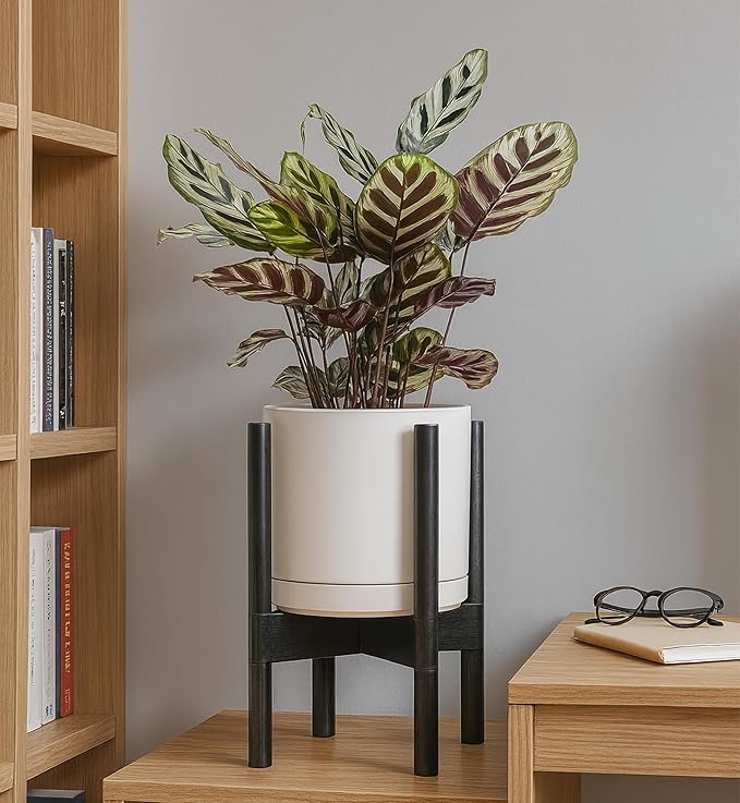 D'vine Dev Ceramic Planter with Ebony Stand - 8 Inch Modern Round Flower Pot with Wood Planter Holder, Oatmeal, 55-B-M-8