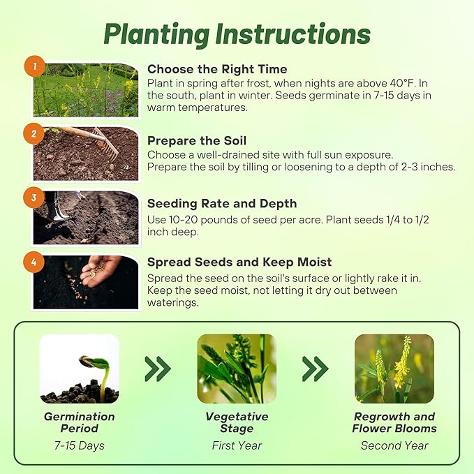 Outsidepride Yellow Sweet Clover Seed - 40 lbs Biennial, Drought-Tolerant, Frost-Resistant, Nitrocoated, Inoculated Yellow Clover Seeds Cover Crop for Forage, Honey Production, & Pollinators