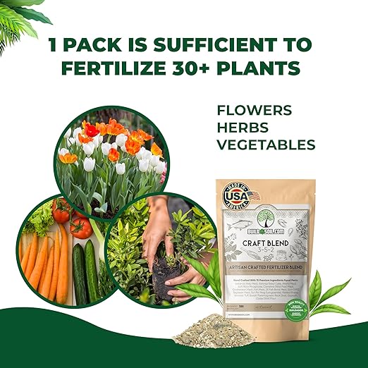 BuildASoil Fertilizer for Vegetable Garden and Ogranic Plant Food | Hand-Crafted Organic Fertilizer with 15 Premium Ingredients | Ensures Larger Plants and More Fragrant Flowers (10 LB - Medium Bag)
