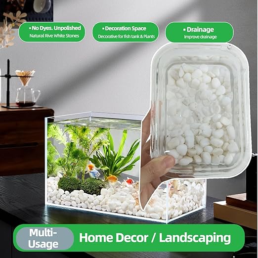 5 LB Natural White Gravel for Plants, Succulents & Cactus, Aquarium, Fish Tank, 0.6 inch Small White Pebbles for Vases, Rocks for Landscaping, Indoor Potted Plants, Garden and Home Decorative Stones