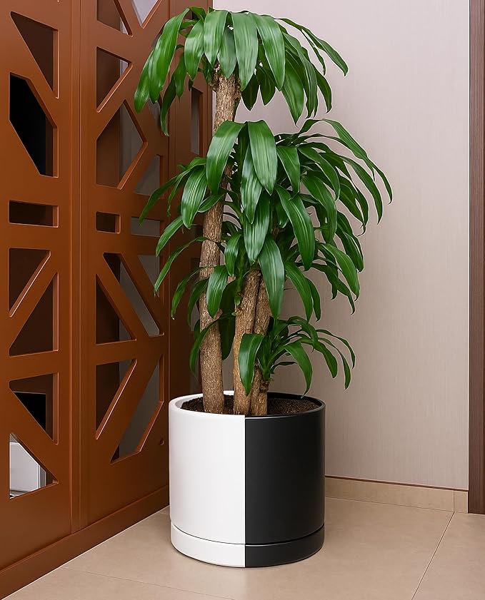 D'vine Dev 12 Inch Ceramic Planter Pot with Drainage Hole and Saucer, Indoor Cylinder Round Planter Pot, Split Monochrome Black & White, 94-O-F-0