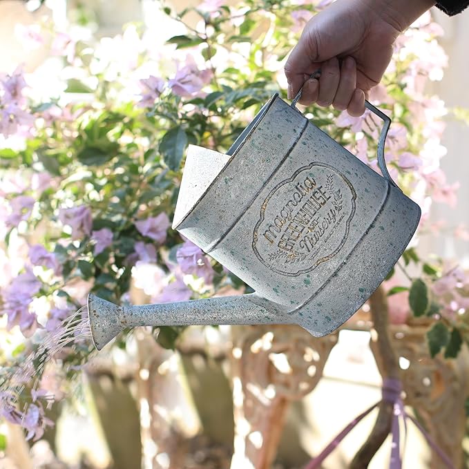 Vintage Metal Flower & Garden Watering Can, Rustic Farmhouse Decorative Watering Pot Planter for Home Patio Backyard Outdoor Plant Care