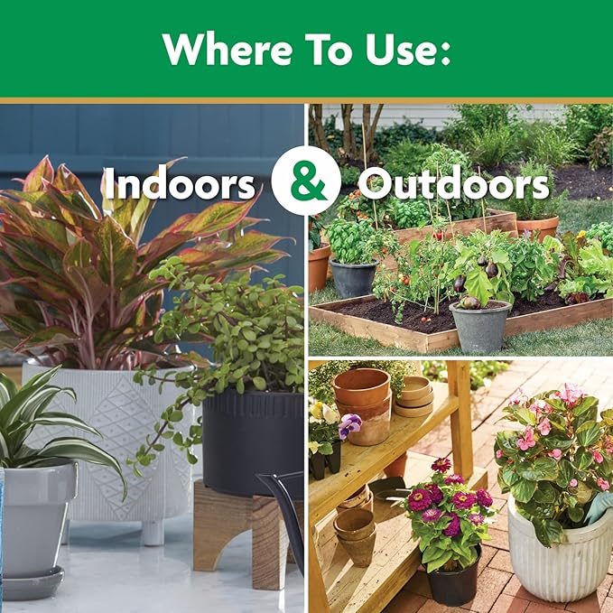 Miracle-Gro Water Soluble All Purpose Plant Food, Plant Fertilizer for Indoor or Outdoor Plants, Roses, Flowers, Houseplants, Vegetables and Trees, 10 lb.