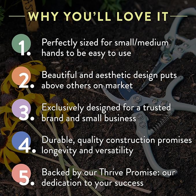 Modern Sprout Pruning Shears - Herb Snipping Scissors- Lightweight Gardening Tools W/Easy Lock - Flower Cutter Garden Shears - Carbon Steel Blade + Reusable Holster (Chartreuse, 1-Pack)