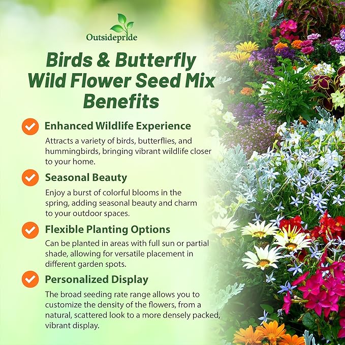 Outsidepride Birds & Butterfly Wild Flower Seed Mix - 1/4 Lb. Premium Blend of Annual & Perennial Wildflower Seeds for Attracting Songbirds, Hummingbirds, & Butterflies