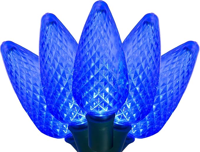 Wintergreen Lighting C9 Blue Christmas Lights, 17 ft LED Outdoor String Light Set, 25 Bulbs – Indoor/Outdoor Holiday Decor