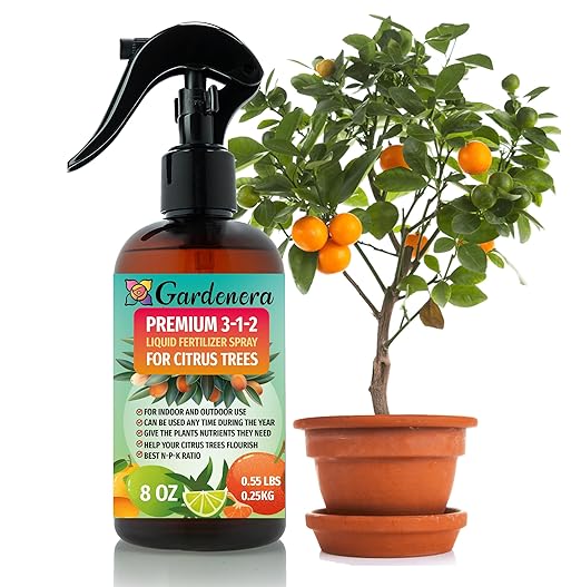 Proffesional Citrus Tree Spray Fertilizer Mist for Home Gardening | 3-1-2 Gentle Blend Mist for Healthy Leaves & Growth | Essential Nutrients for Citrus Tree - 8oz