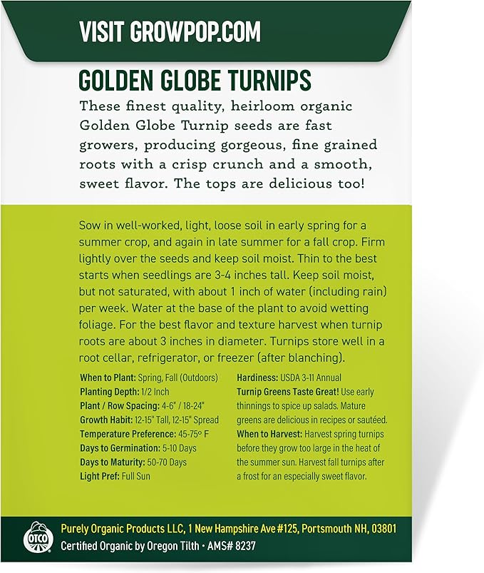 Organic Turnip Seeds (Golden Globe) - Approx 500 Seeds - USDA Organic, Non-GMO, Open Pollinated, Heirloom, USA Origin