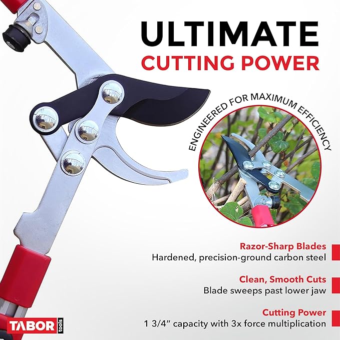 TABOR TOOLS GG21A Extendable Bypass Lopper with Compound Action, 27-40 Inch Telescopic Tree Trimmer, Long Handled Branch Cutter with ⌀ 1 1/2 Inch Cut Capacity, Makes Clean Neat Cuts.