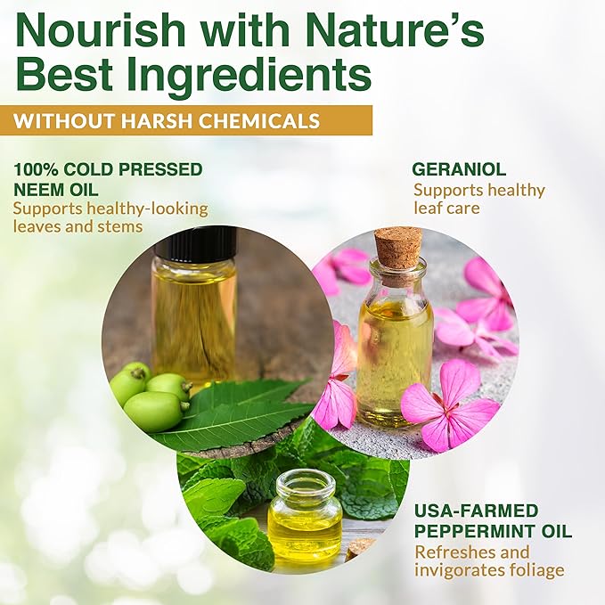Nani’s Neem and Peppermint Oil Spray 16 Fl.oz. (Made in USA) – 100% Cold-Pressed Organic Neem Oil Spray for Plants – Natural Leaf Shine & Care – Ready to Use for Indoor Plants & Outdoor Gardens