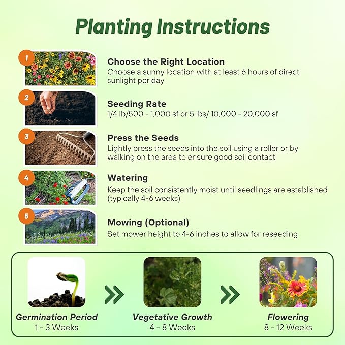 Outsidepride Mountain Wild Flower Seed Mix - 1/4 lb Premium Blend of Annual & Perennial Wildflower Seeds for High-Elevation, USDA Zones 3-8, Ideal for Mountain Gardens, Low-Maintenance & Easy to Grow