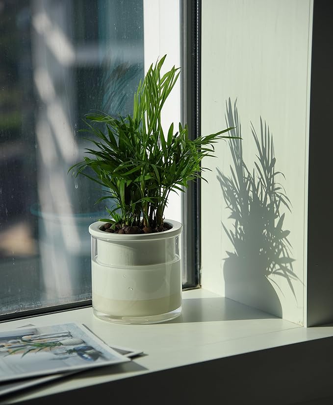 Phoenix Vine 4 Inch Self Watering Planter Pot, Design White Terracotta Pots for Plants, Indoor Cylinder Terra Cotta Pots with Glass Vase, Set of 2, 51-B-E-2