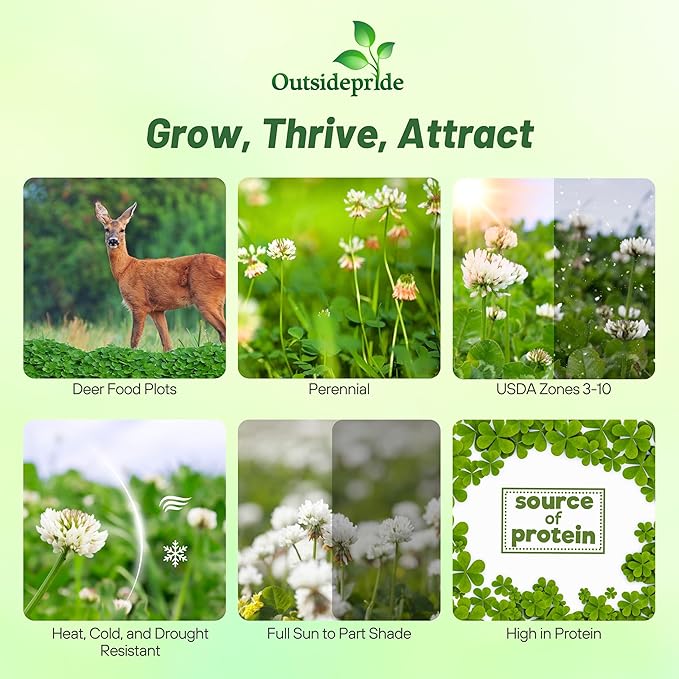 Outsidepride Perennial Clover King Seed Mix - 40 lbs Nitrocoated, Inoculated, Heat & Cold Tolerant, Alfalfa-Enhanced Food Plot Seeds for Deer & Wildlife, Ideal for Spring, Summer, & Winter Plots
