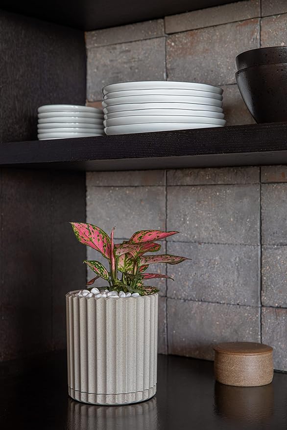 Veradek Demi Series Demi 6" Planter w/Tray - Sand, 2 Pack