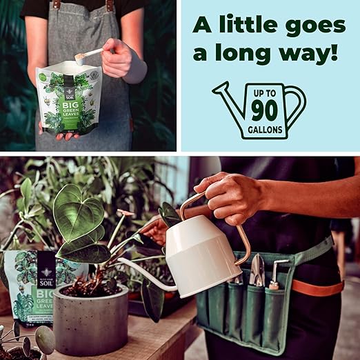 Big Green Leaves Indoor Plant Food - House Plant Fertilizer - Fast Acting Minerals +Superfood Sea Kelp | 4X More Concentrated Than Liquid Plant Food (1LB)