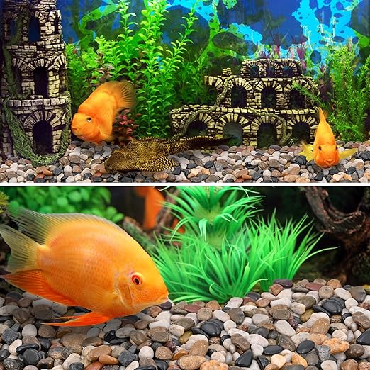 20Ib Rain Forest Rocks- Decorative Pebbles for Plants- River Rocks for Outdoor Landscaping- 0.3"-0.8" inch High Polished Stones for Aquarium, Terrarium,Vases, Home Decor