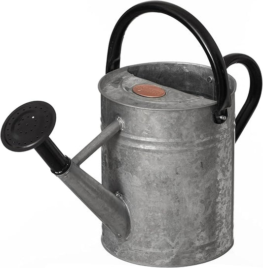 Gardenised 1 Gallon Metal Watering Can with Removable Long Spout & Sprinkler Head for Indoor & Outdoor Use Ideal for Garden Flowers Potted Plants Houseplants Modern Decorative Home Accessories, Silver