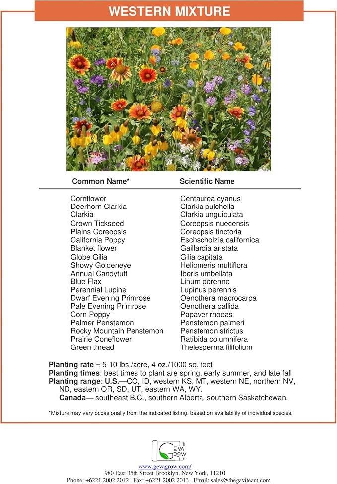GevaGrow - Western Wildflower Seeds Regional Mix - Organic, Non-GMO - 100% Pure Seed - 18 Different Wildflowers Seeds of Annual and Perennial, 1LB Tub