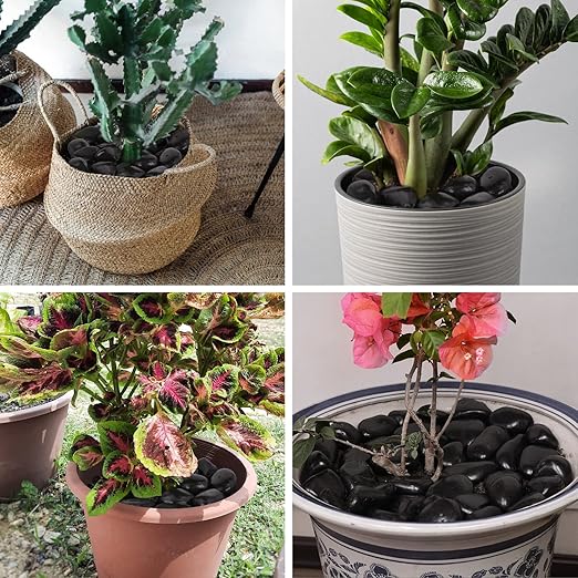 20Ib Black River Rocks for Landscaping-Polished Pebbles for Plants-Garden Decorative Stones-1-2 Large Plant Rocks,Ideal for Aquarium, Home Decor