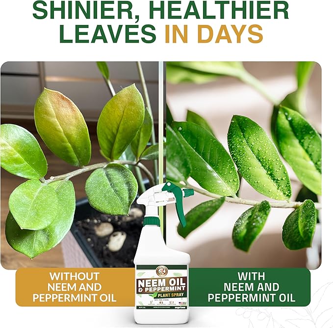 Nani’s Neem and Peppermint Oil Spray 16 Fl.oz. (Made in USA) – 100% Cold-Pressed Organic Neem Oil Spray for Plants – Natural Leaf Shine & Care – Ready to Use for Indoor Plants & Outdoor Gardens