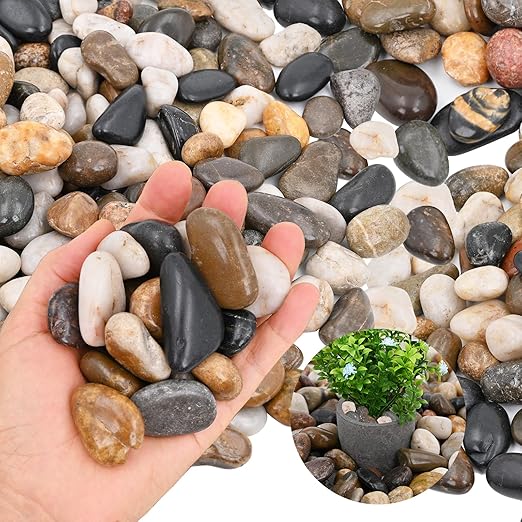 20Ib Rain Forest Rocks- Decorative Pebbles for Plants- River Rocks for Outdoor Landscaping- 0.3"-0.8" inch High Polished Stones for Aquarium, Terrarium,Vases, Home Decor