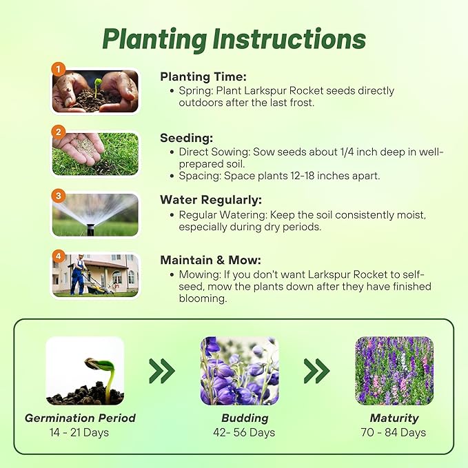 Outsidepride Mixed Rocket Larkspur Seeds for Planting Outdoors - 1 Lb. Annual, Self-Seeding, Heat & Drought Tolerant Wildflower Seeds for Cut Flower Arrangements & Pollinator Gardens