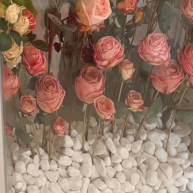 5 lbs White Matte Rocks for Plants, 2-3 Inch Large Pebbles for Indoor Plants, Decorative River Stones for Succulent, Landscaping, Vases, Crafting and Garden