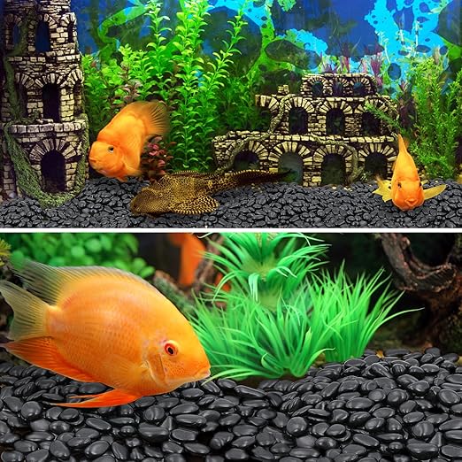 20Ib Black River Rock- Decorative Pebbles for Plants - River Rocks for Outdoor Landscaping- 0.3"-0.8" inch High Polished Stones for Aquarium, Terrarium,Vases, Home Decor