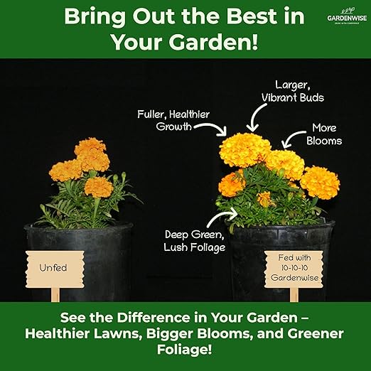 10-10-10 Plant Fertilizer Slow Release - 10 10 10 All Purpose Granular Garden Fertilizer for Vegetables, Tomato, Arborvitae, Shrubs, Rose, Flowers, Fruit, Fig Trees (2 QUARTS)