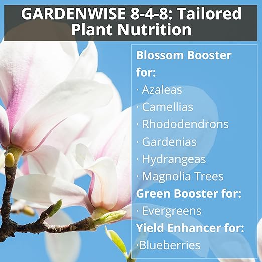 8-4-8 Acidic Fertilizer for Azaleas, Camellias (Camelia), Hydrangeas, Blueberries, Gardenias, Magnolia Trees, Evergreens, and Rhododendrons - Ideal Iron-Rich Plant Food (2 QUARTS)