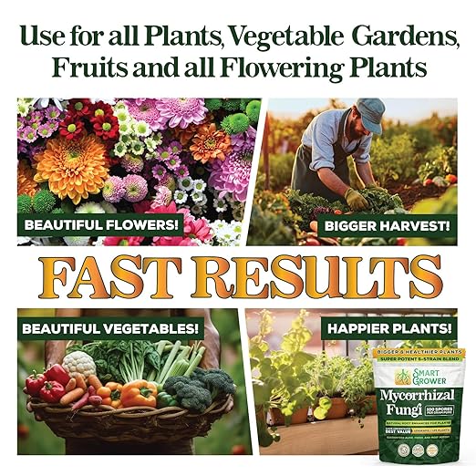 Mycorrhizal Fungi Organic Root Enhancer for Plants, Super Potent 100 Spores Pe, 5-Strain Bler Gramnd, Ra Respidults for Gardens, Houseplants, Lawns, Mycorrhizae Smart Grower 125 Grams for 125 Plants