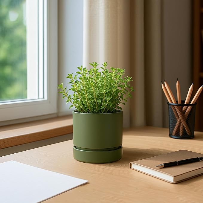 Phoenix Vine 4 Inch Planter Pot with Drainage Hole & Saucer, Deep Water Catch Tray, Straight Cylindrical Round Pot for Plants, Olive, Pack of 2, 23-F-R-2