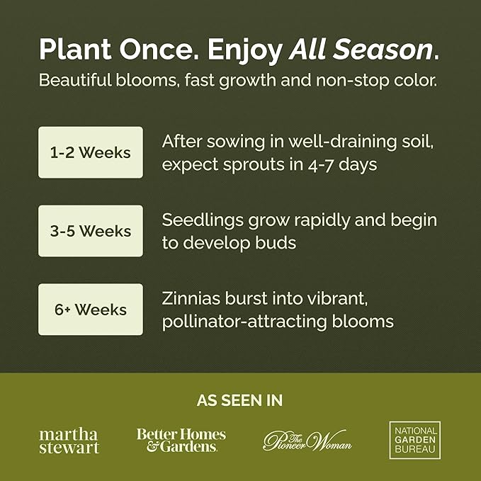 Eden Brothers Zinnia Seeds - Pumila White, Non-GMO Seeds for Planting, Packet | Low-Maintenance Flower Seeds, Plant During Spring, Zones 3, 4, 5, 6, 7, 8, 9, 10