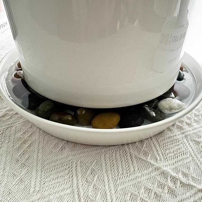 Plant Saucer Tray of 2 Pack 6 Inch, 7 inch (6.7 Inch) Plant Saucer Tray, Heavy Duty Glazed Ceramic Plant Saucers for Indoors & Outdoor, Flower Plant Water Trays for Pots Planter