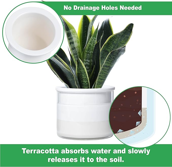 Phoenix Vine 6 Inch Self Watering Planter Pot, Design White Terracotta Pot for Plants, Indoor Cylinder Terra Cotta Pot with Glass Vase, Set of 1, 51-B-F-1