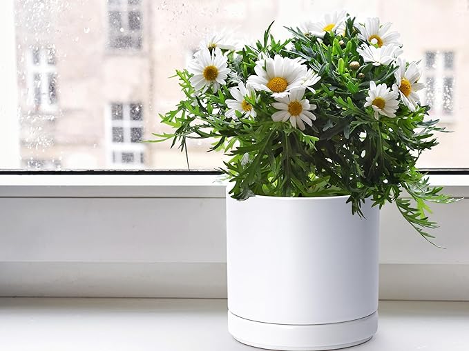 D'vine Dev 6.5 Inch & 8.2 Inch Ceramic Planter Pots for Plants with Drainage Hole and Saucer, Medium Plant Pots Set, White, 94-G-M-1