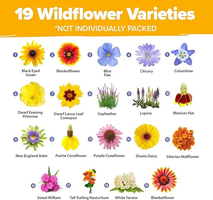 HOME GROWN Wildflower Seeds Mix - 47,400+ Non-GMO USA-SOURCED Seeds - 19 Perennial Flower Varieties for Planting Outdoors - Attract Butterflies & Birds - 3oz Wild Flower Seed Mix