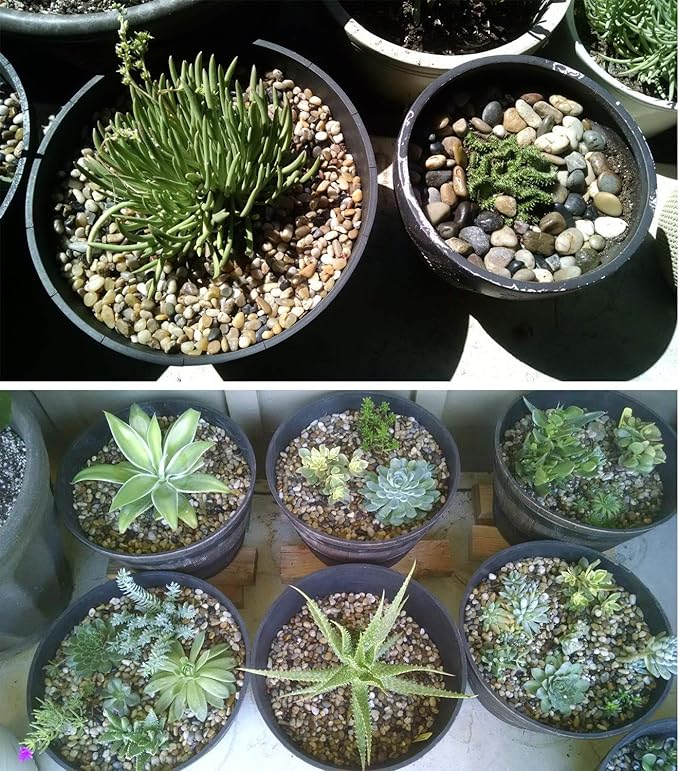 Voulosimi 40 LBS River Rock Stones, Natural Decorative Polished Mixed Pebbles Gravel,Outdoor Decorative Stones for Plant Aquariums, Landscaping, Vase Fillers